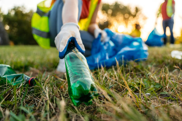 Yard Cleanup Services in Sunnyvale, CA